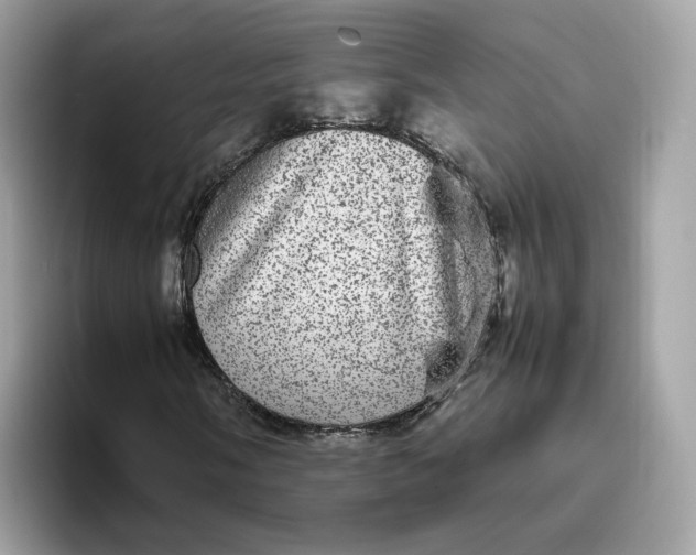 X0000095951058200801251125