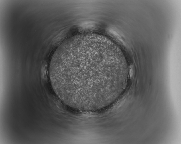 X0000095951059200801251125