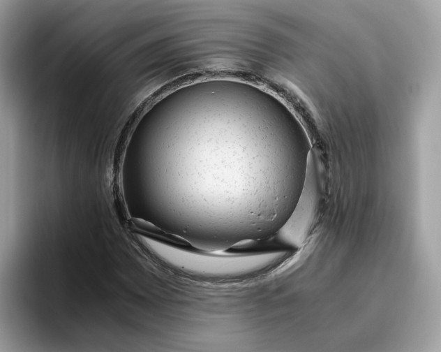 X0000095951065200801251125