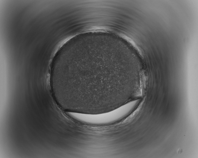 X0000095951066200801251125