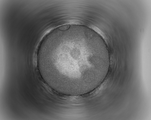 X0000095951067200801251125