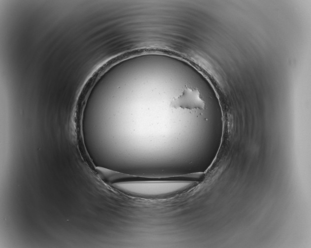 X0000095951068200801251125