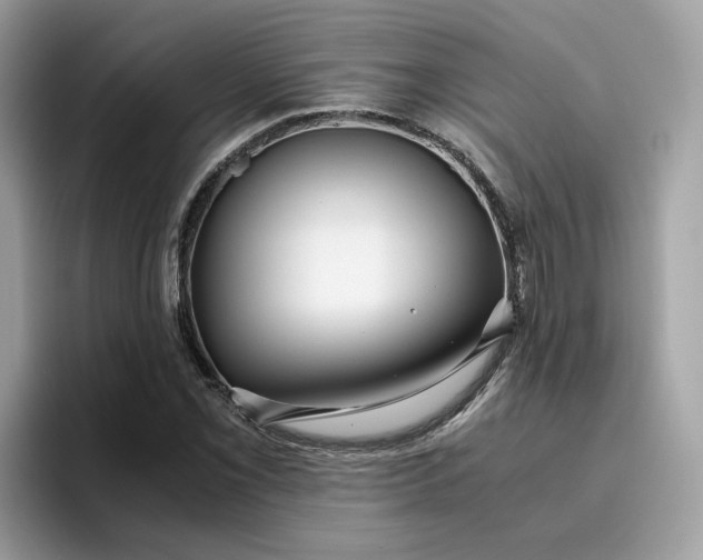 X0000095951069200801251125