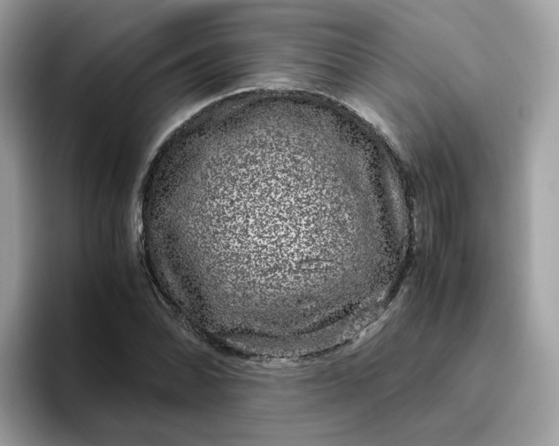 X0000095951070200801251125