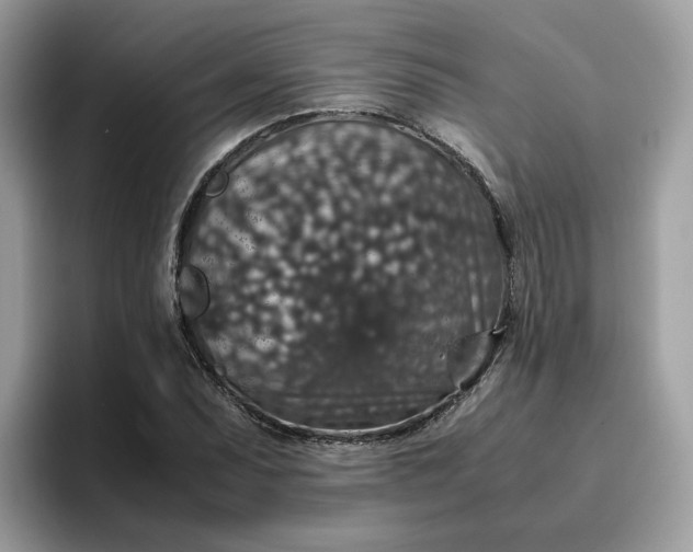 X0000095951071200801251125