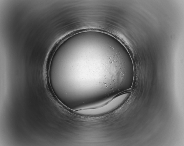 X0000095951072200801251125