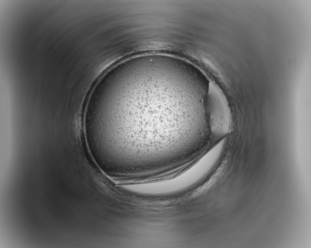 X0000095951073200801251125