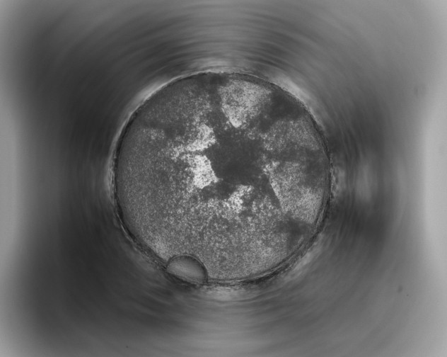 X0000095951074200801251125