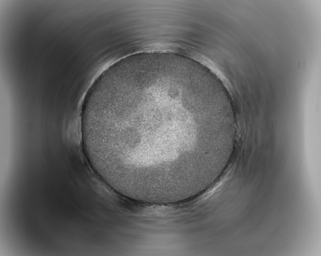 X0000095951075200801251125