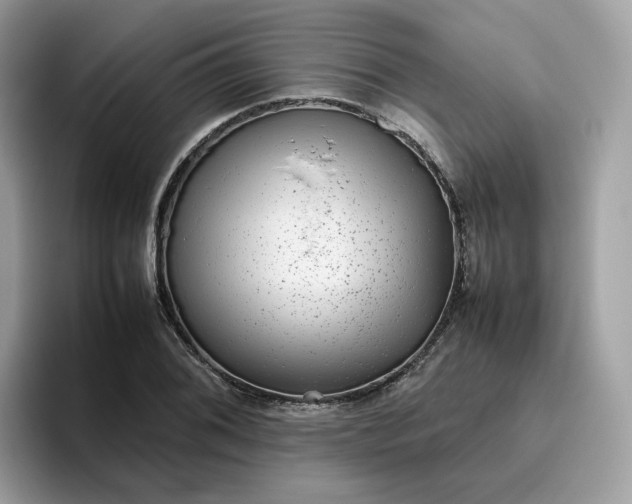 X0000095951076200801251125