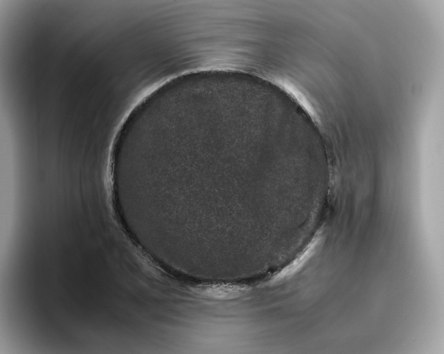 X0000095951077200801251125