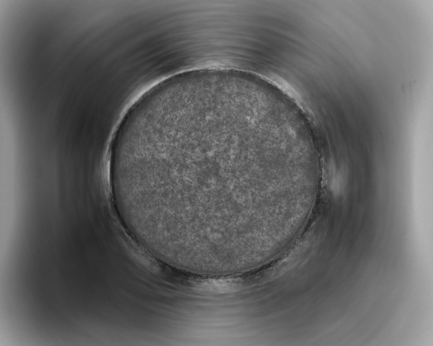 X0000095951078200801251125