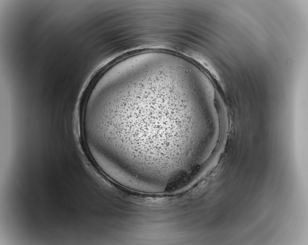 X0000095951080200801251125