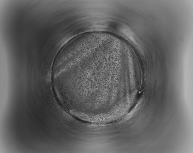 X0000095951081200801251125