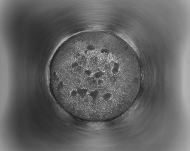 X0000095951083200801251125