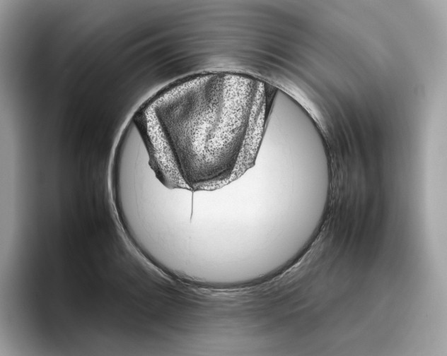 X0000095951084200801251125