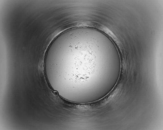 X0000095951089200801251125