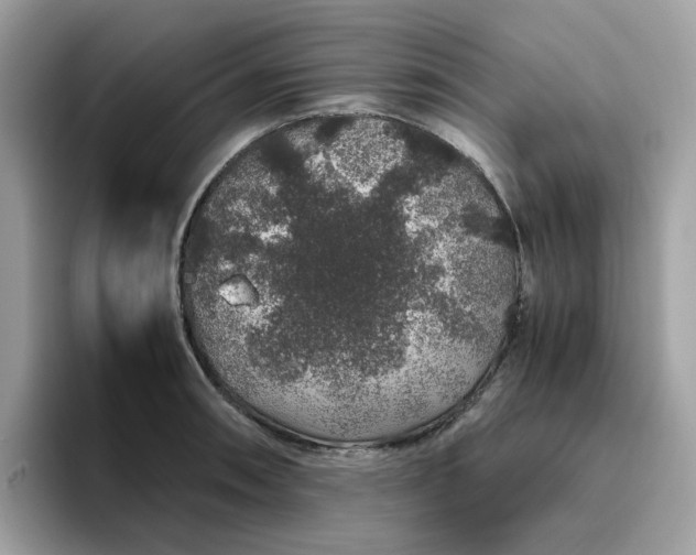 X0000095951090200801251125