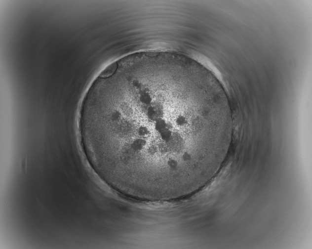 X0000095951091200801251125