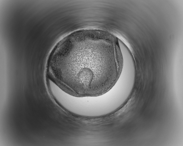 X0000095951093200801251125