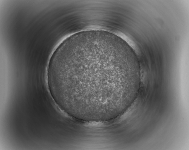 X0000095951094200801251125