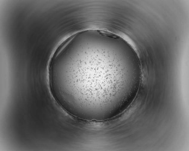 X0000095951096200801251125