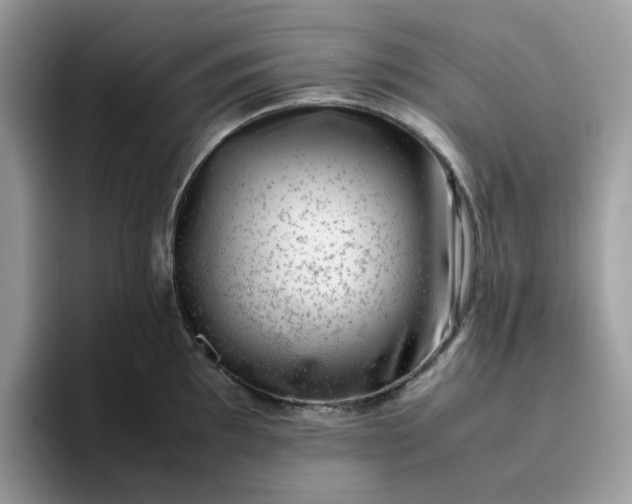 X0000095951097200801251125