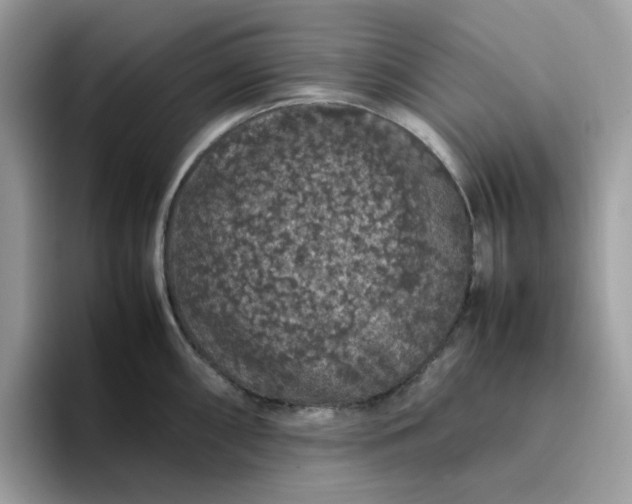 X0000095951098200801251125