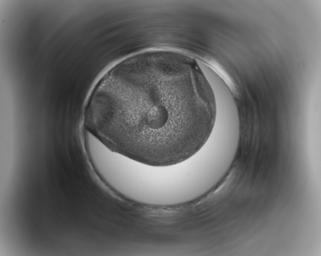 X0000095951100200801251125