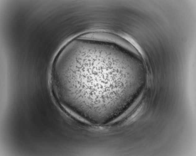 X0000095951101200801251125