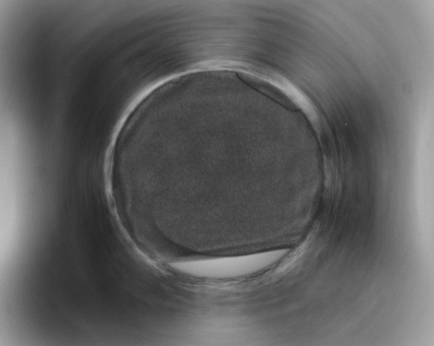 X0000095951102200801251125