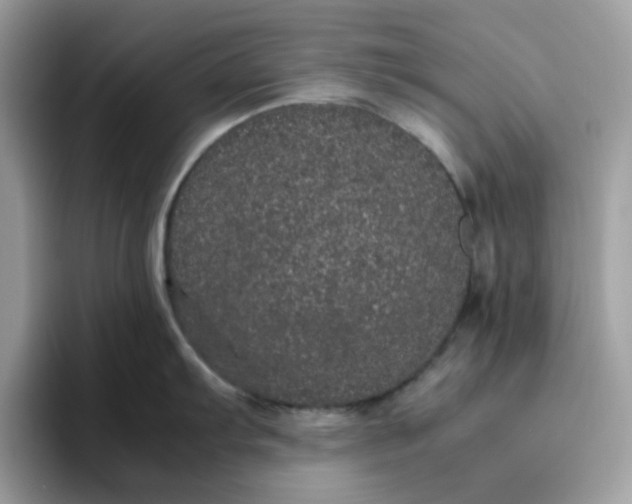 X0000095951103200801251125