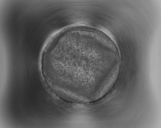 X0000095951104200801251125