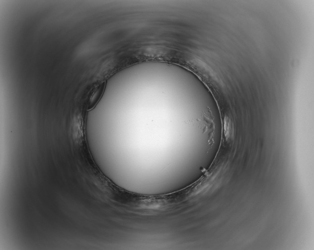 X0000095951107200801251124