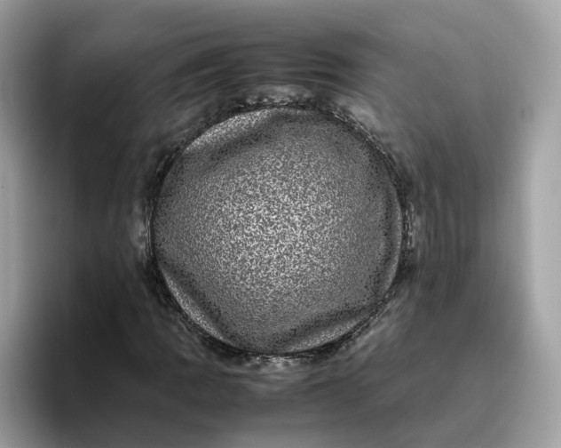 X0000095951109200801251124