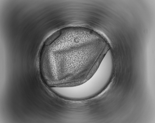 X0000095951114200801251124