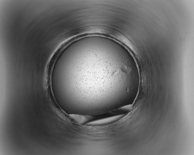 X0000095951116200801251124