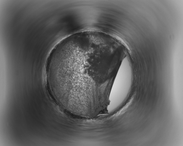 X0000095951117200801251124