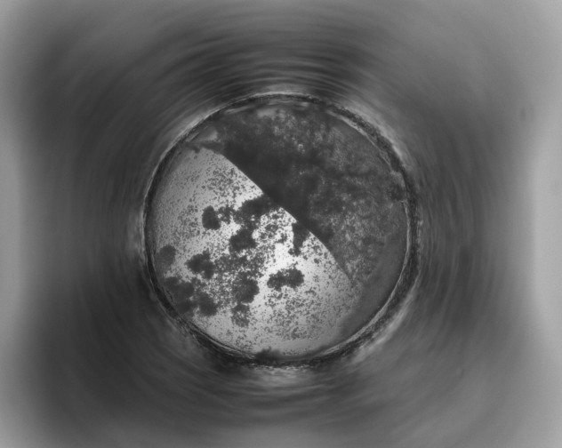 X0000095951121200801251124