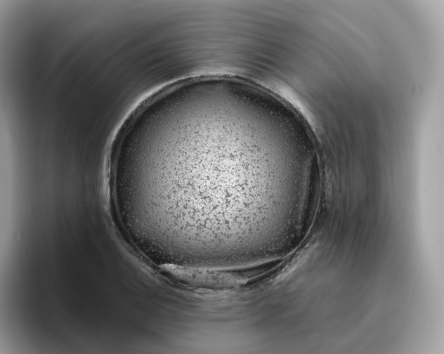 X0000095951124200801251124