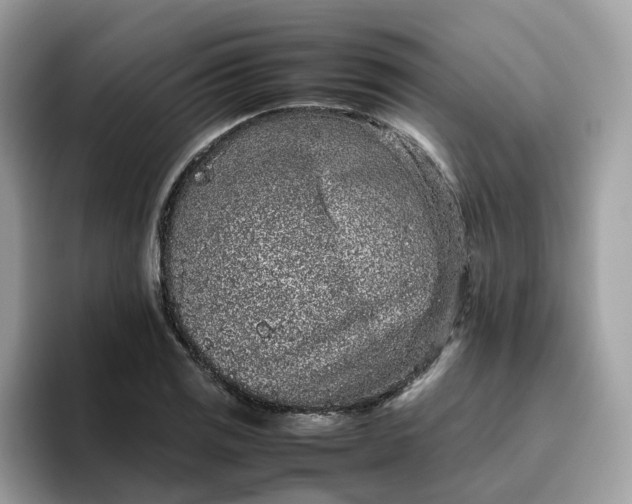 X0000095951125200801251124