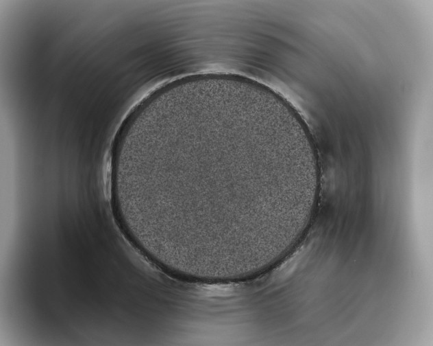 X0000095951126200801251124