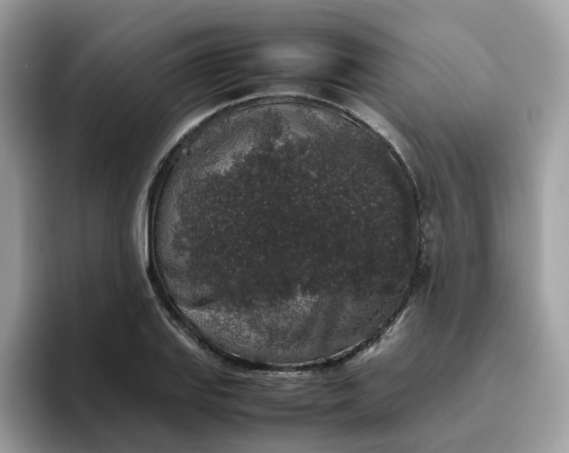 X0000095951127200801251124