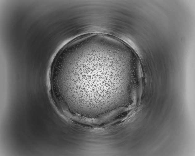 X0000095951128200801251124