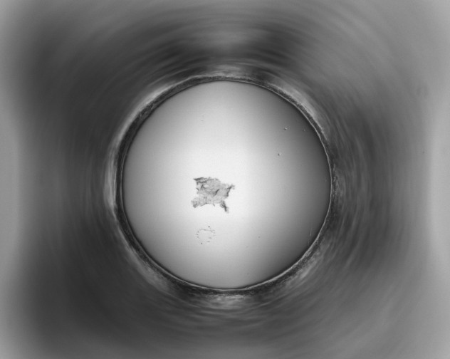 X0000095951131200801251125