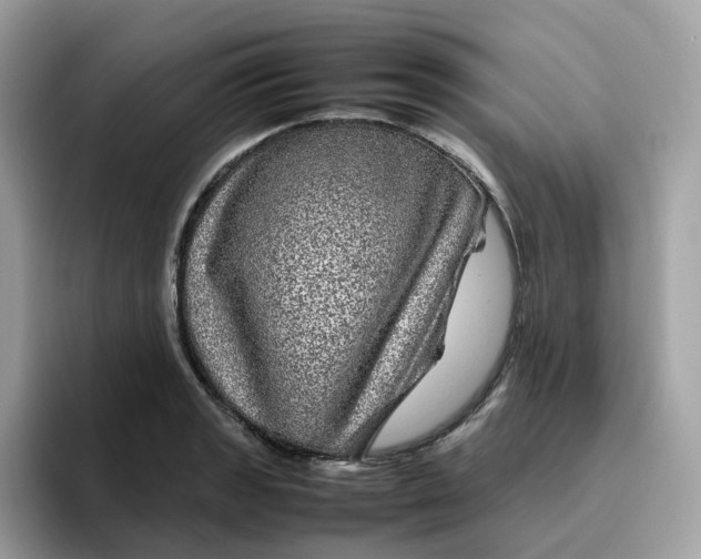 X0000095951133200801251125