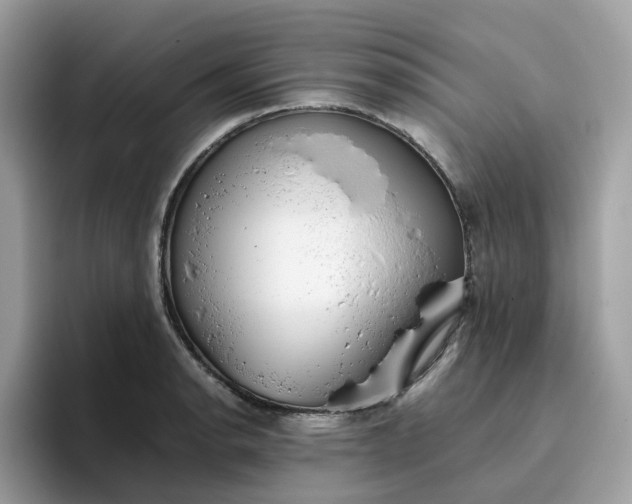 X0000095951134200801251125