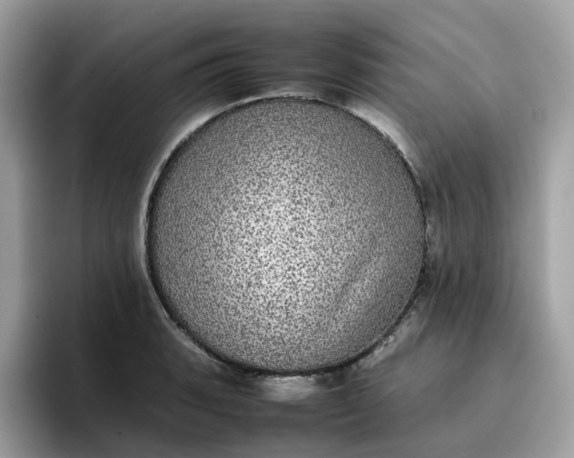 X0000095951135200801251125