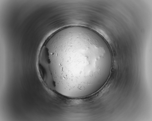 X0000095951136200801251125