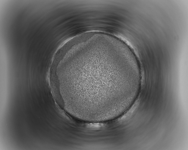 X0000095951137200801251125